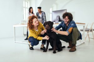¿Mascotas en el ambiente de trabajo? Sorprendentes beneficios