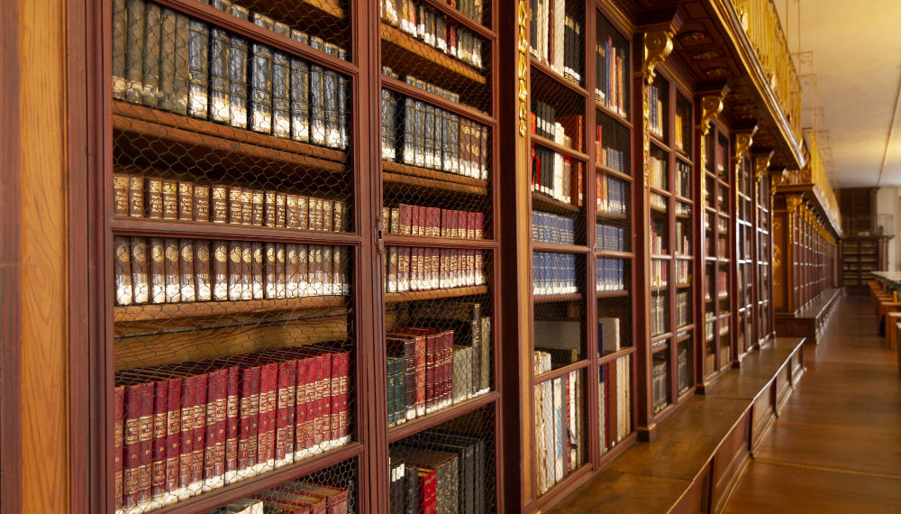 Historia del fuero maternal y fuero laboral en Chile en la legislación del Congreso Nacional.