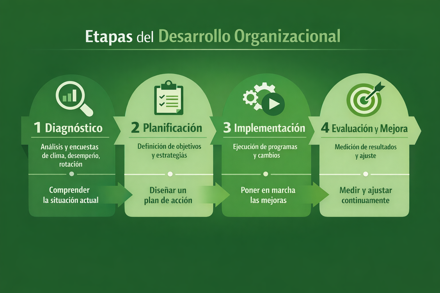 etapas el desarrollo organizacional